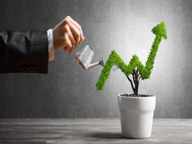 Investitsionno-predlozhenie.jpg